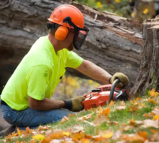 tree services Wallburg